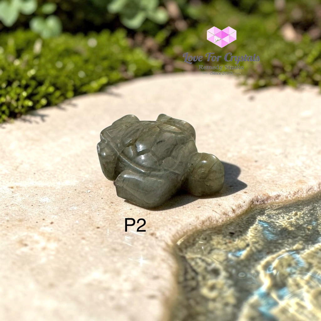 Mini Labradorite Tortoise 30mm (Protection • Luck • Steady Progress) - Photo 2 - Labradorite