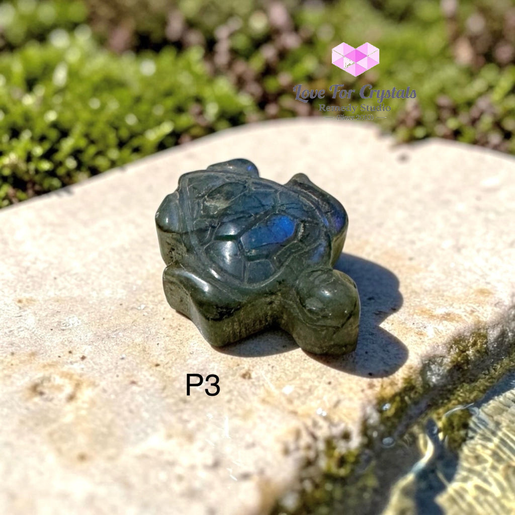 Mini Labradorite Tortoise 30mm (Protection • Luck • Steady Progress) - Photo 3 - Labradorite