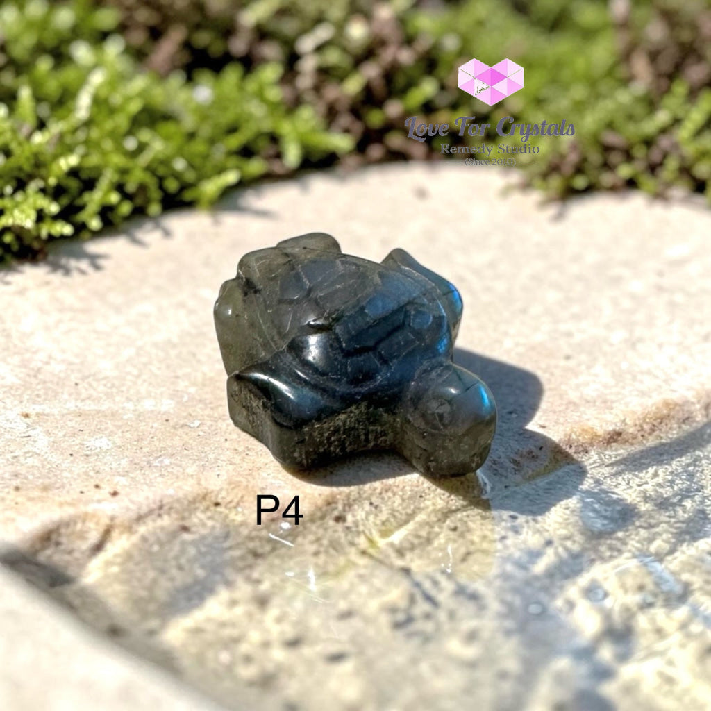 Mini Labradorite Tortoise 30mm (Protection • Luck • Steady Progress) - Photo 4 - Labradorite