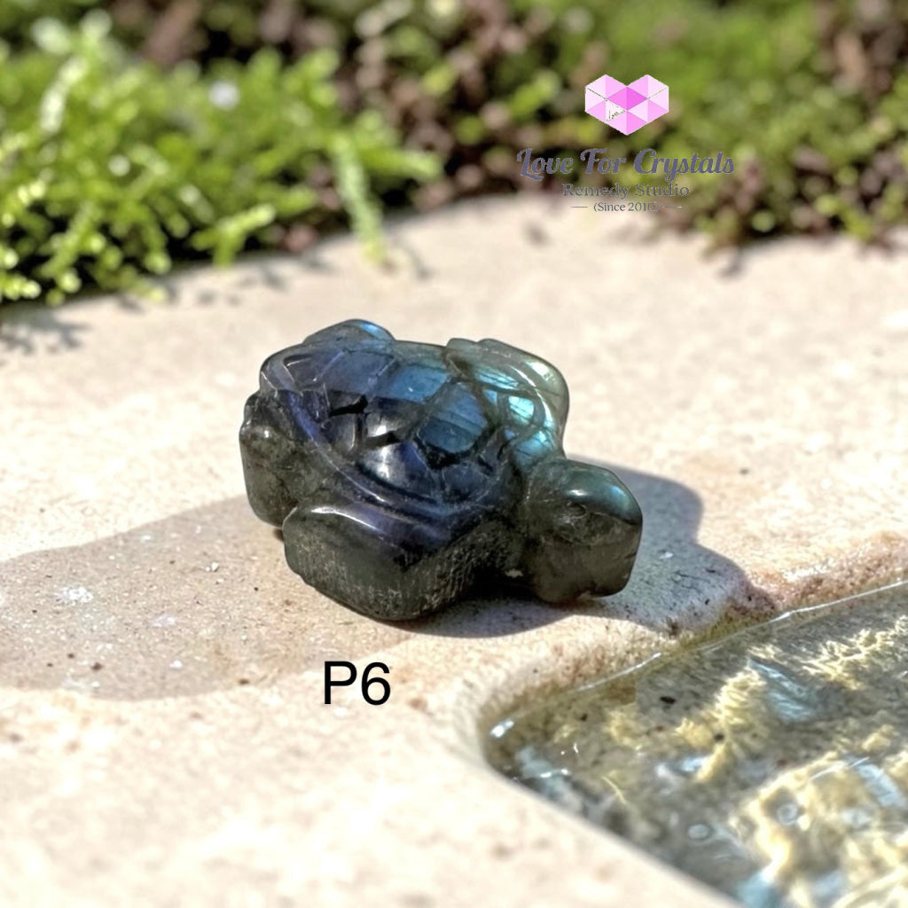 Mini Labradorite Tortoise 30mm (Protection • Luck • Steady Progress) - Photo 6 - Labradorite