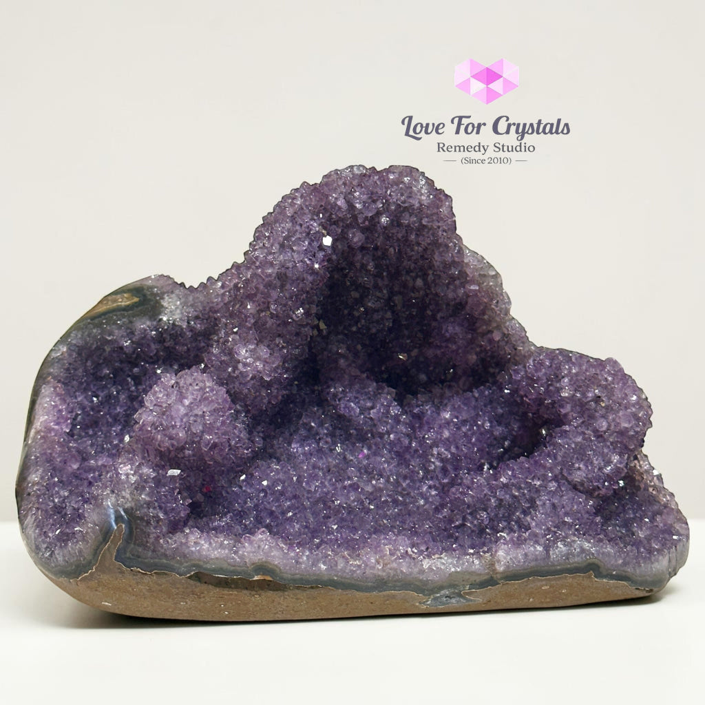 Money Catcher Amethyst Cluster in Agate 3kg 22cm - 3kgs 22cm - Amethyst