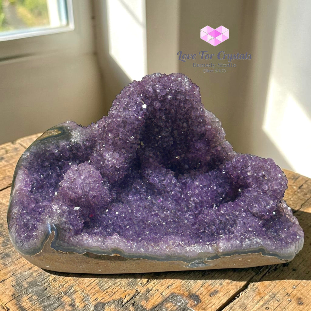 Money Catcher Amethyst Cluster in Agate 3kg 22cm - 3kgs 22cm - Amethyst