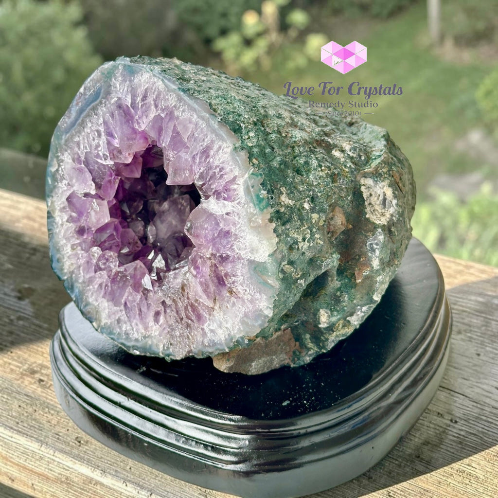 Money Catcher Amethyst Geode Bowl 1.8kg (Rio Grande Brazil) - 1.8kgs - Amethyst