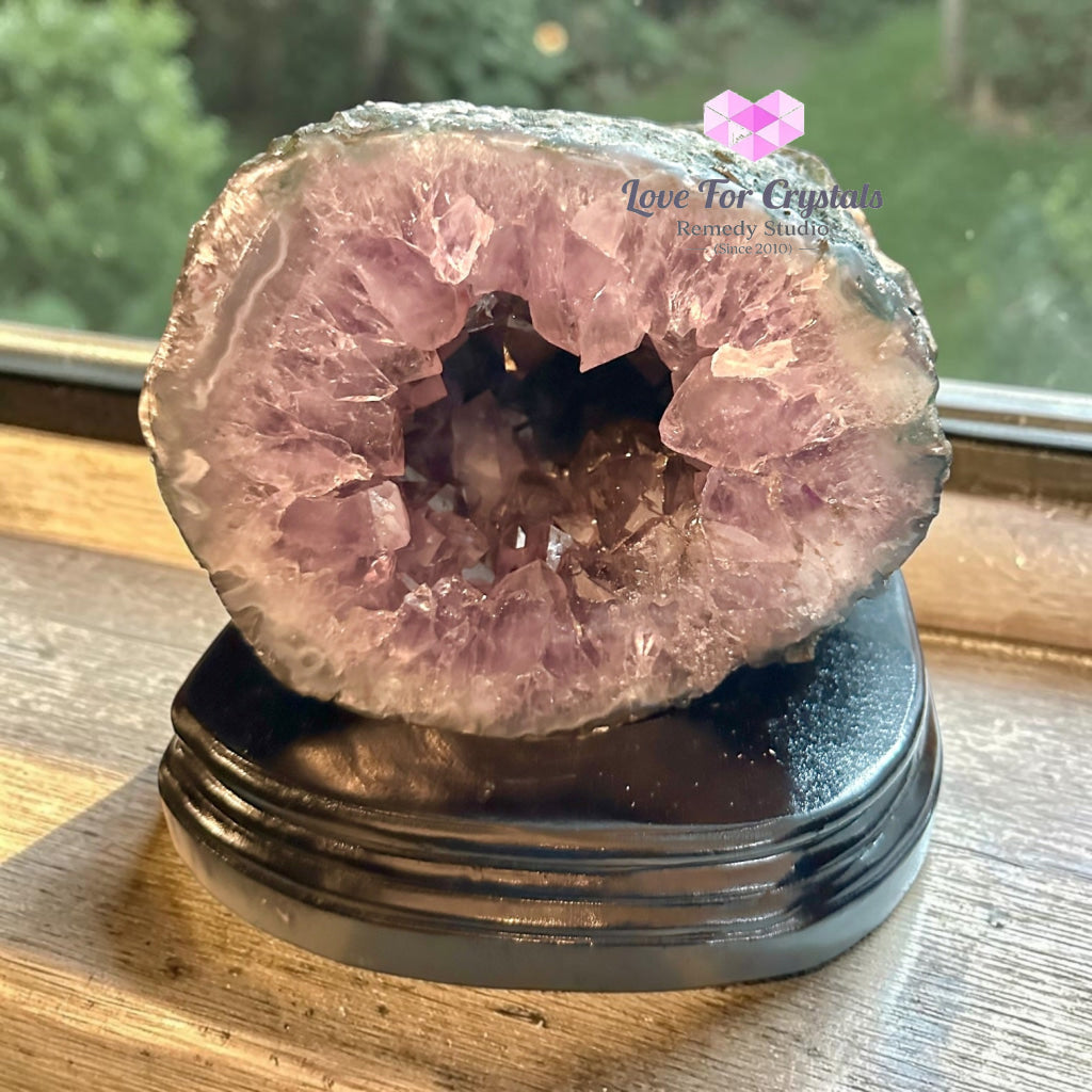 Money Catcher Amethyst Geode Bowl 1.8kg (Rio Grande Brazil) - 1.8kgs - Amethyst