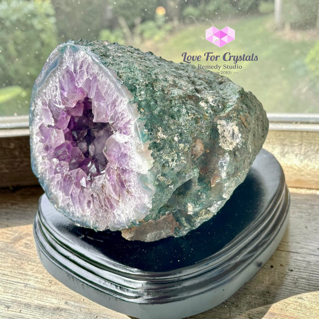 Money Catcher Amethyst Geode Bowl 1.8kg (Rio Grande Brazil) - 1.8kgs - Amethyst
