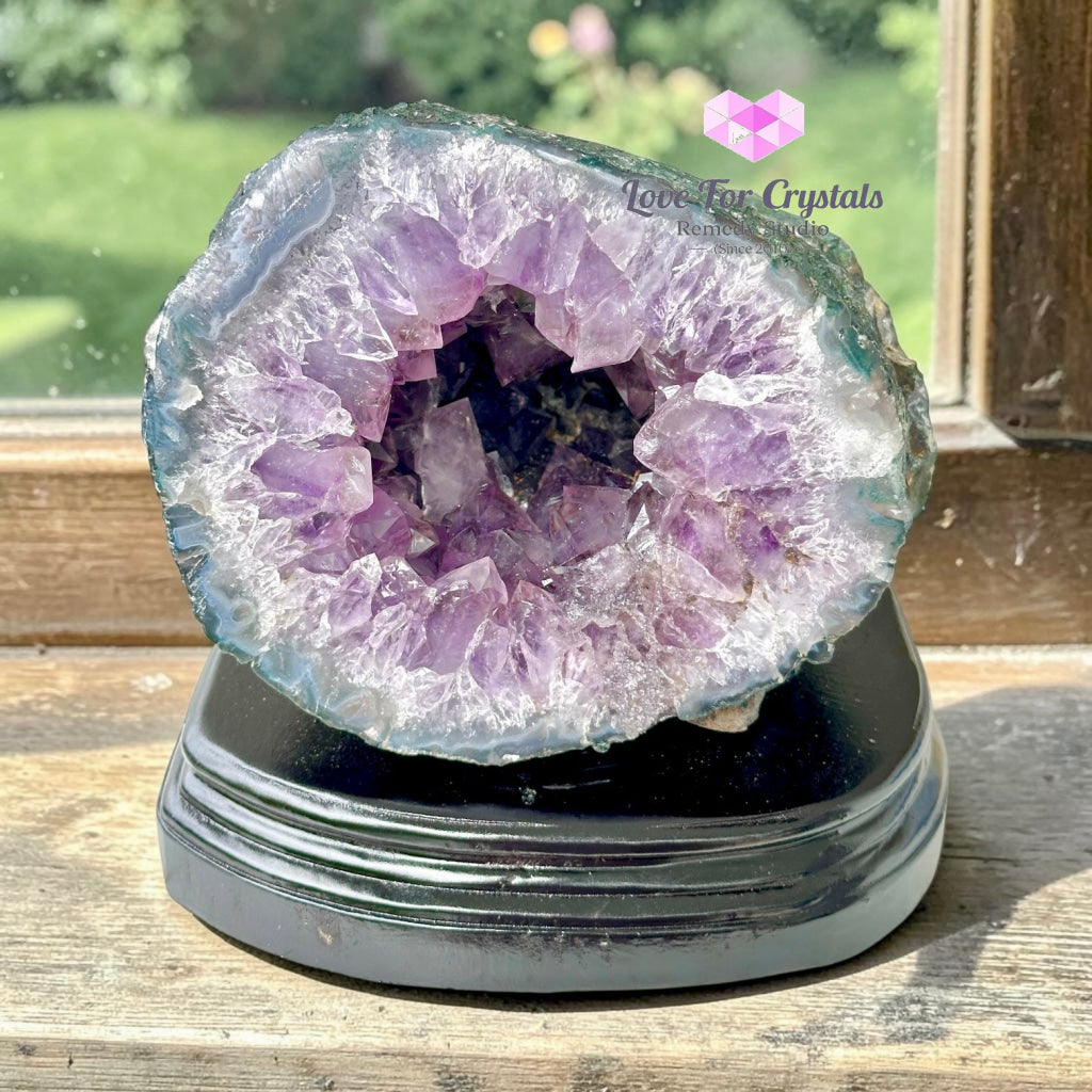 Money Catcher Amethyst Geode Bowl 1.8kg (Rio Grande Brazil) - 1.8kgs - Amethyst