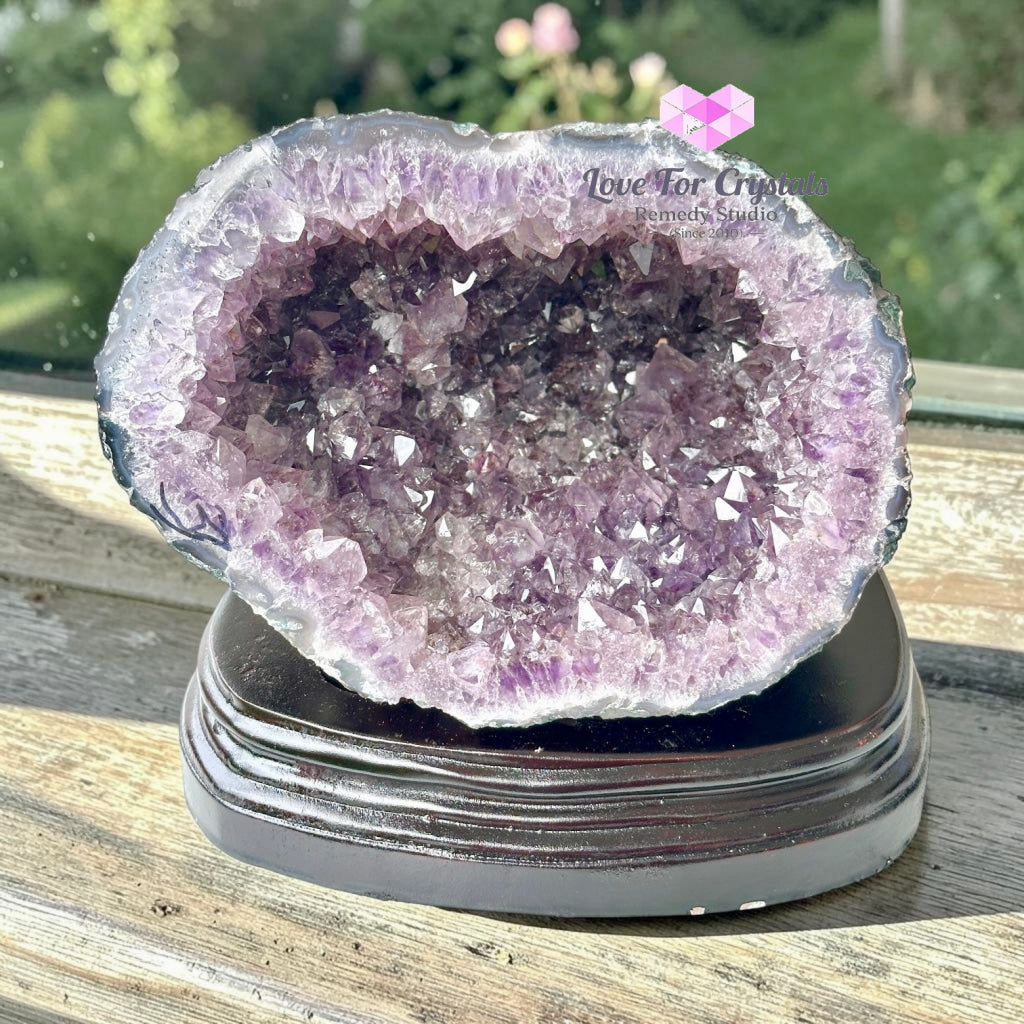Money Catcher Amethyst Geode Bowl 3.62kg (Rio Grande Brazil) - 3.62kgs - Amethyst