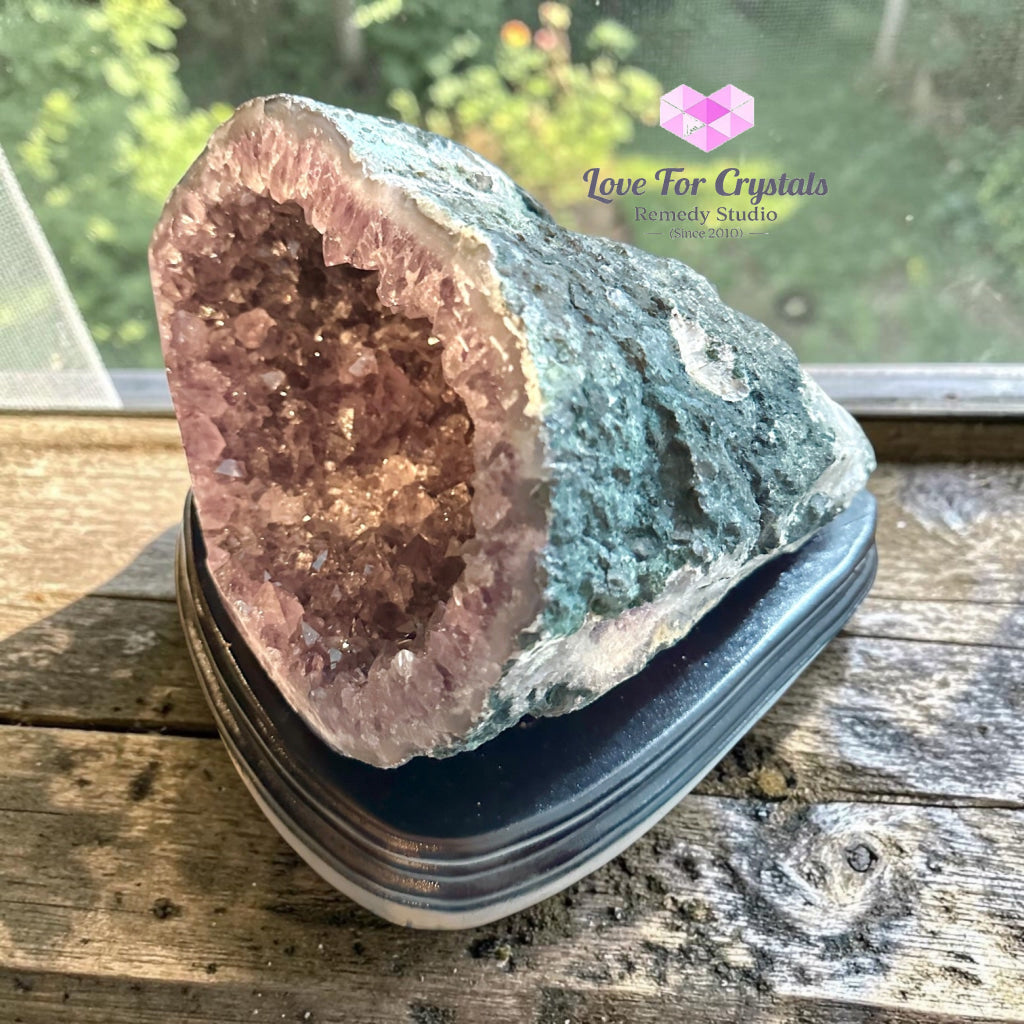 Money Catcher Amethyst Geode Bowl 3.62kg (Rio Grande Brazil) - 3.62kgs - Amethyst