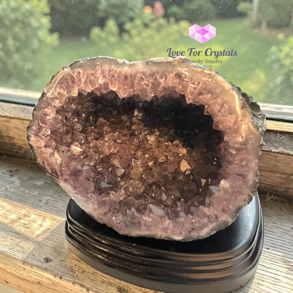 Money Catcher Amethyst Geode Bowl 3.62kg (Rio Grande Brazil) - 3.62kgs - Amethyst