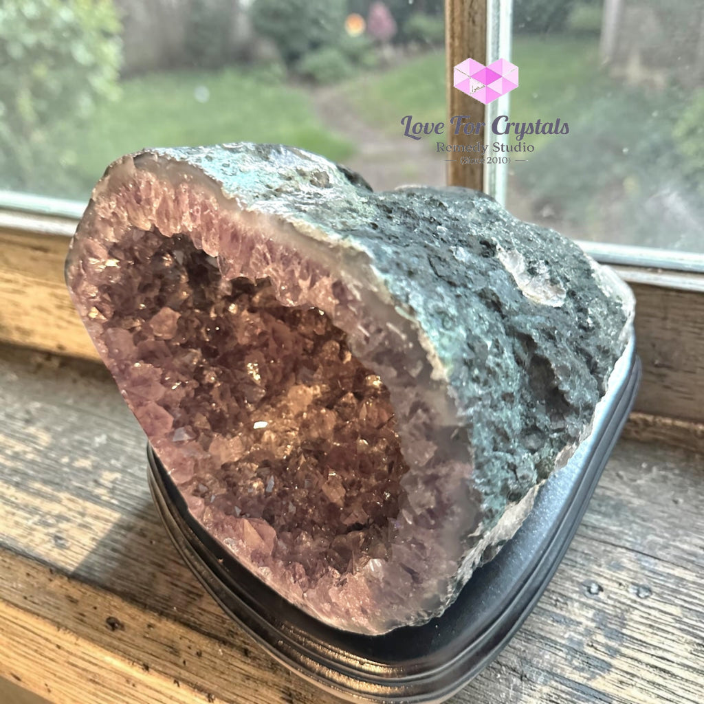 Money Catcher Amethyst Geode Bowl 3.62kg (Rio Grande Brazil) - 3.62kgs - Amethyst