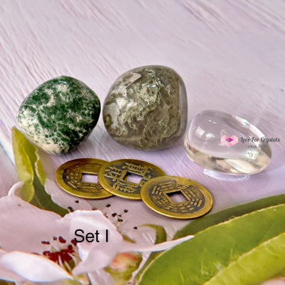 Money Grows Crystal Remedy Set I Set