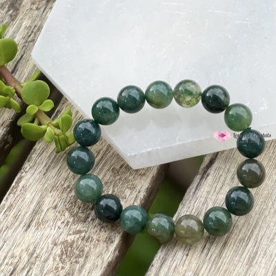 Moss Agate 10Mm Bracelet