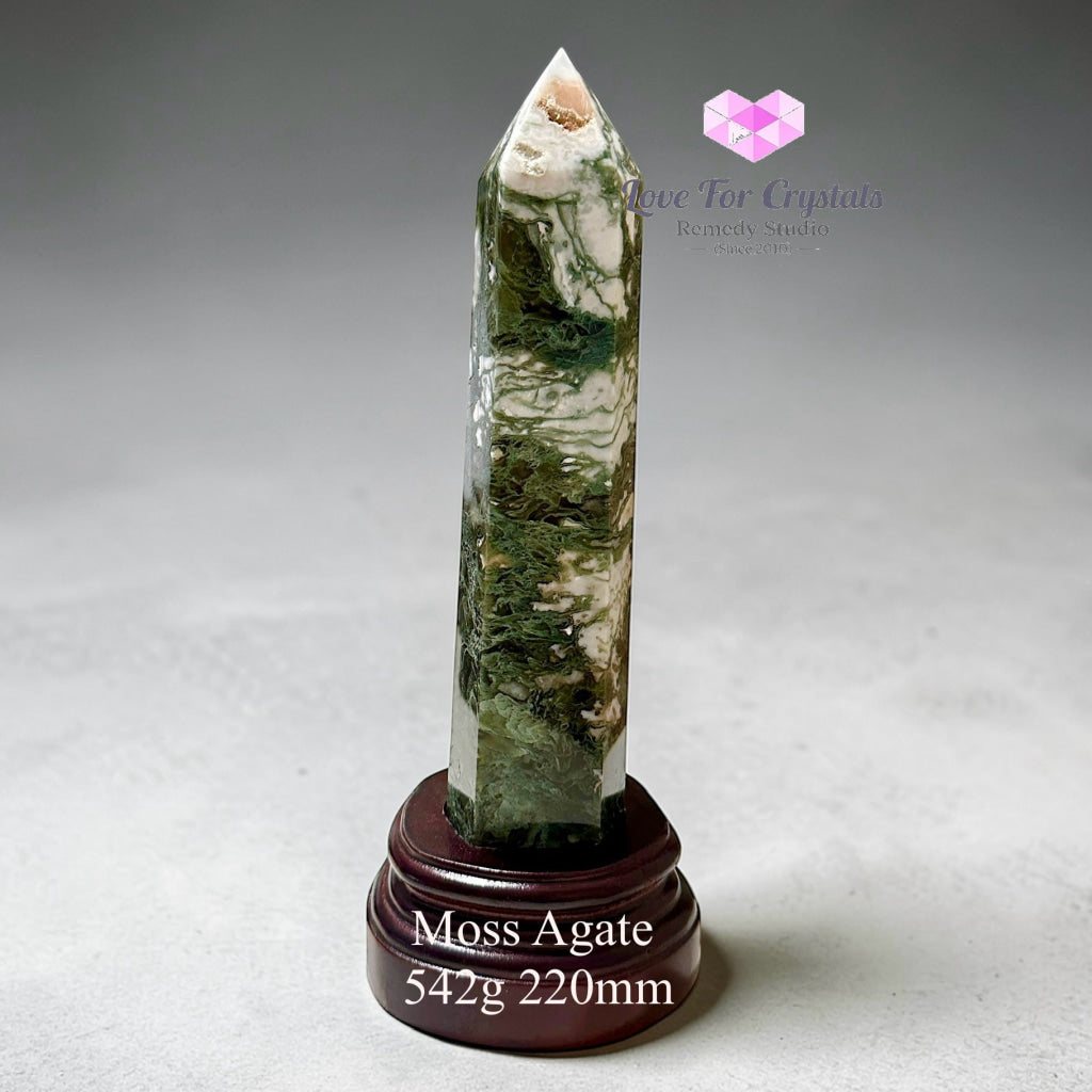 Moss Agate Anchor Tower Pointer (Encoded & Activated) 542g 220mm Crystal point