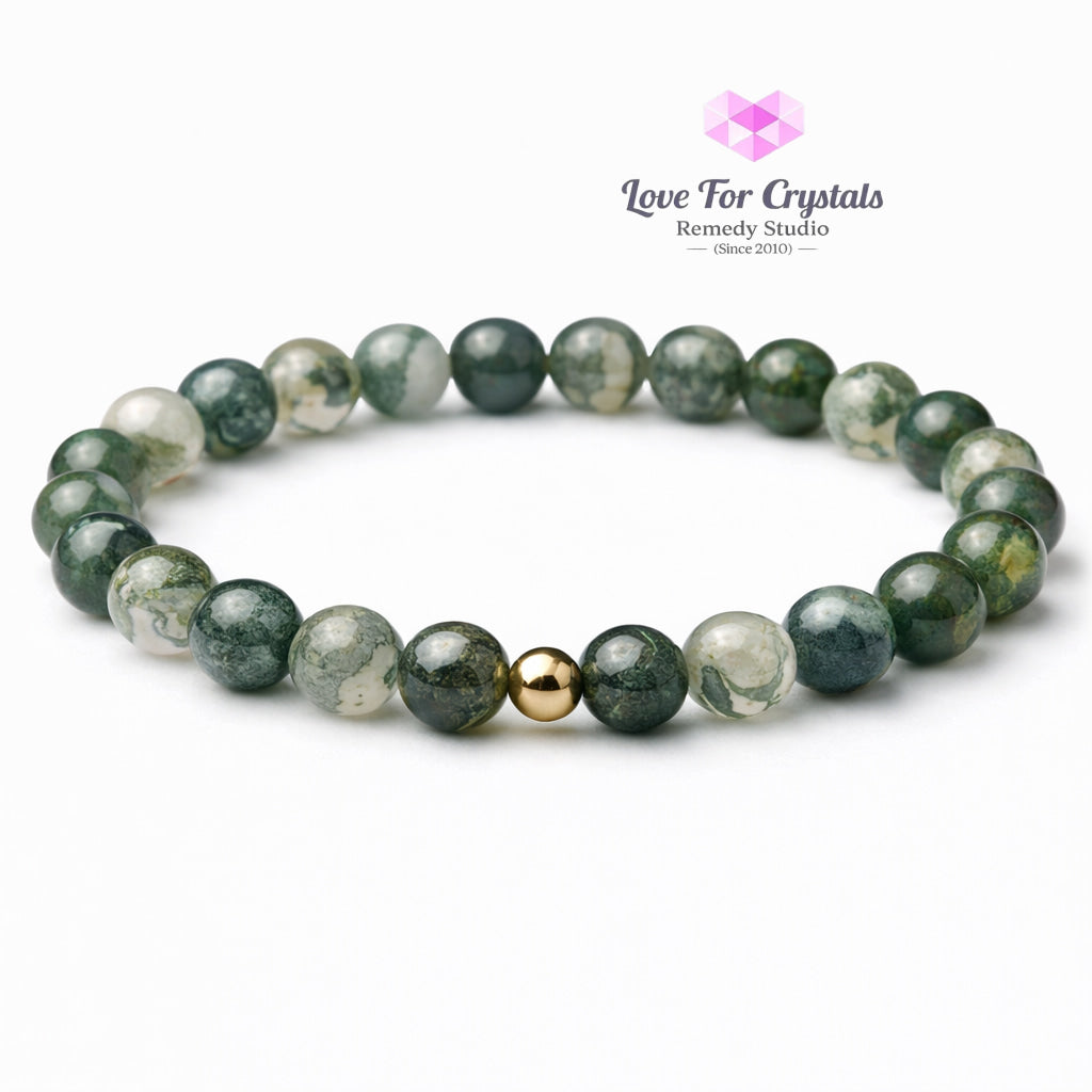Moss Agate Steady Growth 6mm Bracelet with 14k gold filled bead Bracelets & Bangles