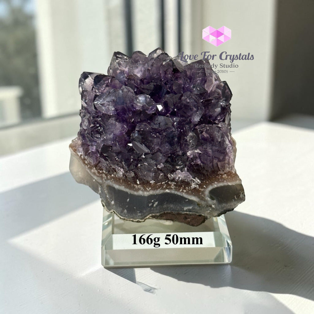 Natural Amethyst Flower Cluster (Special & Rare Formation) Brazil - Amethyst