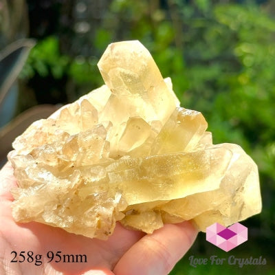 Natural Citrine Clusters (Aa Grade) Money Magnet Wealth Activator (Mineral Gallery) 258G 95Mm