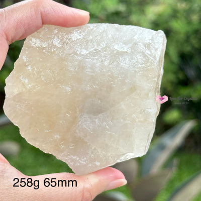 Natural Citrine Raw (Brazil) Rare! Money Magnet Stones