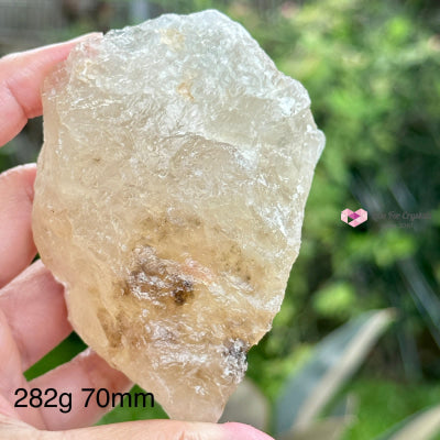 Natural Citrine Raw (Brazil) Rare! Money Magnet Stones