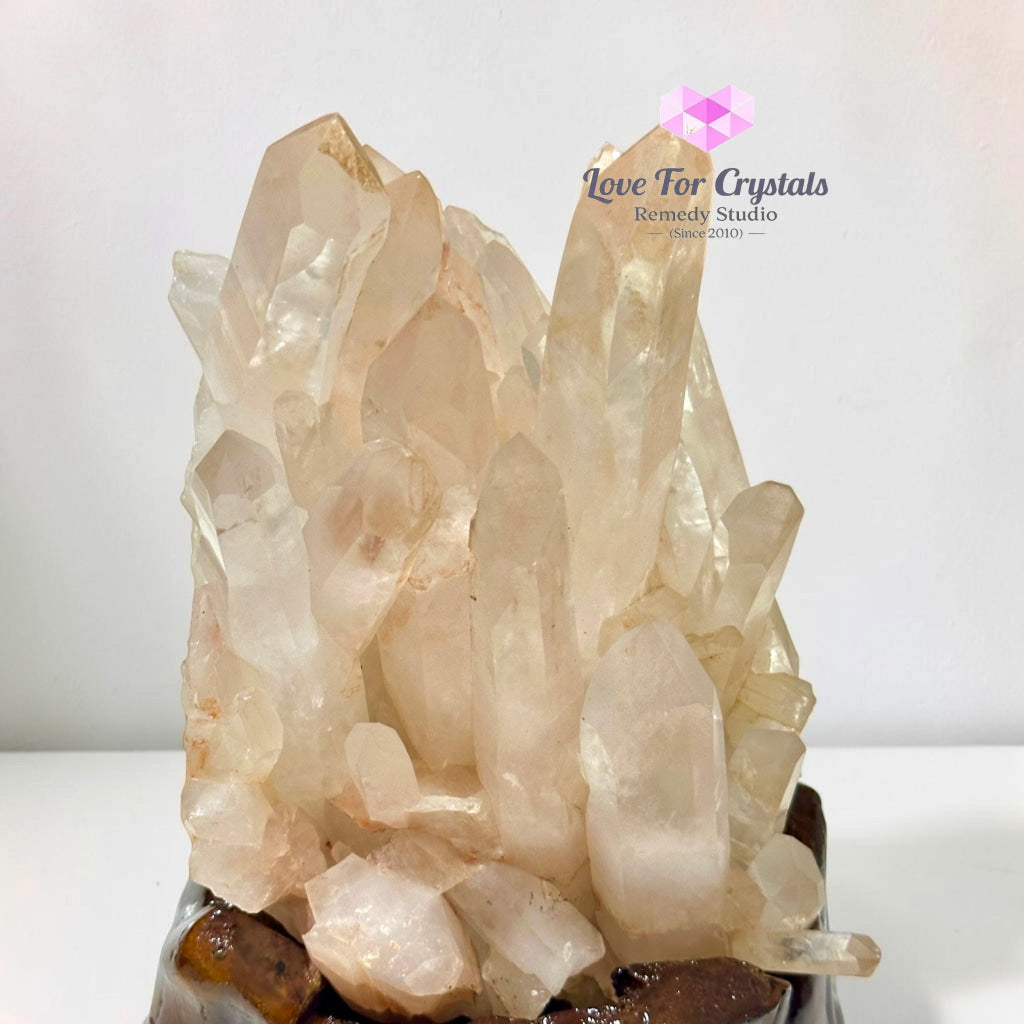 Natural Madagascar Quartz Cluster on Wooden Base AAA - 28x18x13cm - Cluster quartz