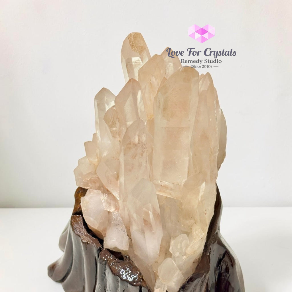 Natural Madagascar Quartz Cluster on Wooden Base AAA - 28x18x13cm - Cluster quartz