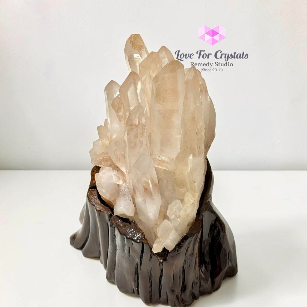 Natural Madagascar Quartz Cluster on Wooden Base AAA - 28x18x13cm - Cluster quartz