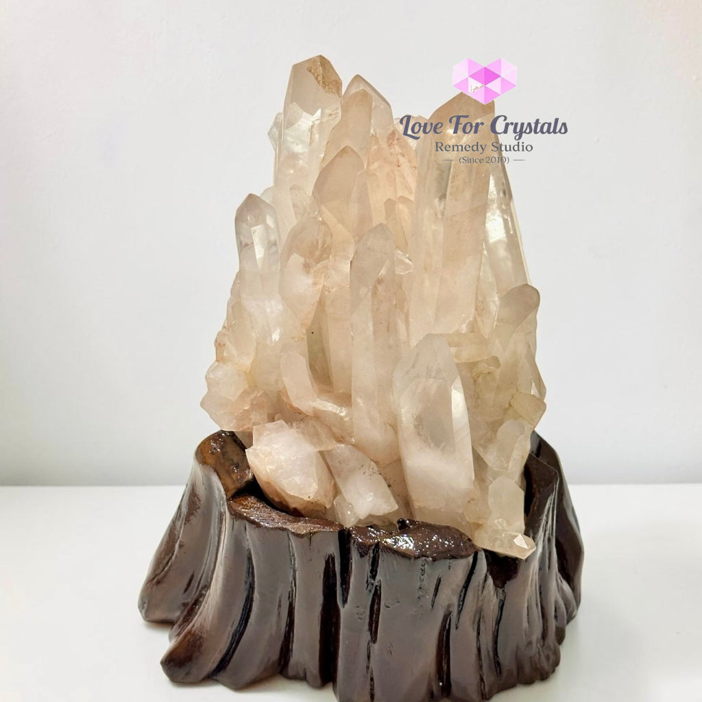 Natural Madagascar Quartz Cluster on Wooden Base AAA - 28x18x13cm - Cluster quartz