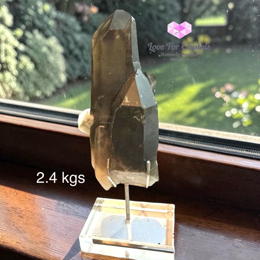 Natural Smoky Quartz Cluster (Brazil) - 2.4kgs - Smoky quartz