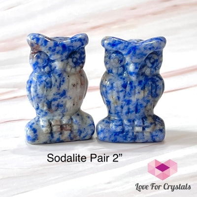 Owl Crystal Carved 2 (50Mm) Blue Sodalite (Per Pair)