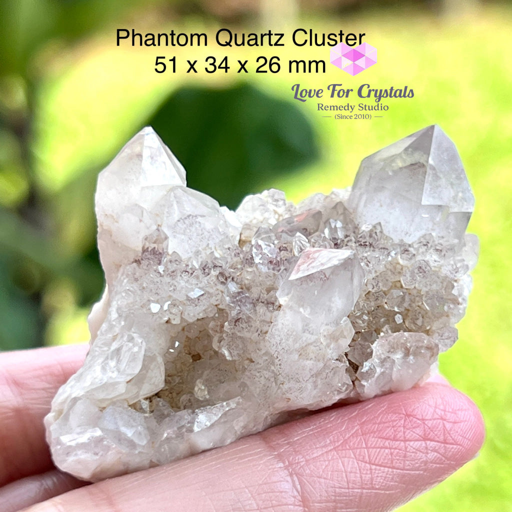 Phantom Quartz Cluster (South Africa) Collectors 51 X 34 26 Mm Raw Crystals