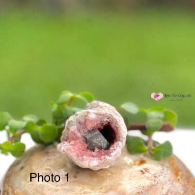 Pink Amethyst Druse Mini Geode (Argentina) Raw Crystals