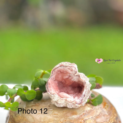 Pink Amethyst Druse Mini Geode (Argentina) Raw Crystals