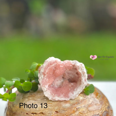 Pink Amethyst Druse Mini Geode (Argentina) Raw Crystals