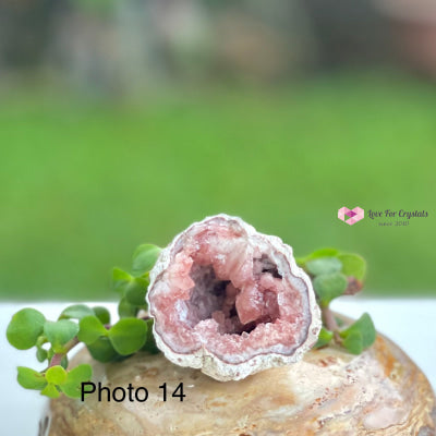 Pink Amethyst Druse Mini Geode (Argentina) Raw Crystals