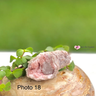 Pink Amethyst Druse Mini Geode (Argentina) Raw Crystals