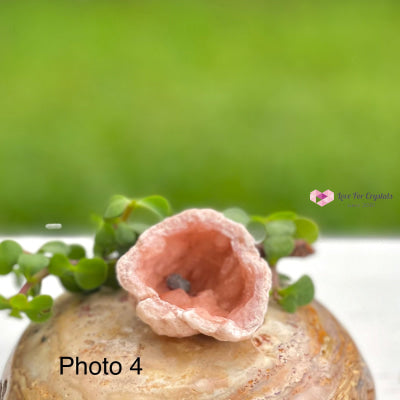 Pink Amethyst Druse Mini Geode (Argentina) Raw Crystals