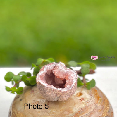 Pink Amethyst Druse Mini Geode (Argentina) Raw Crystals