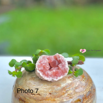 Pink Amethyst Druse Mini Geode (Argentina) Raw Crystals
