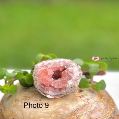 Pink Amethyst Druse Mini Geode (Argentina) Raw Crystals