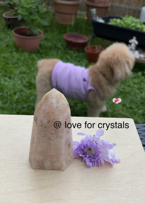 Pink Amethyst Point (Rare!) Polished Stones