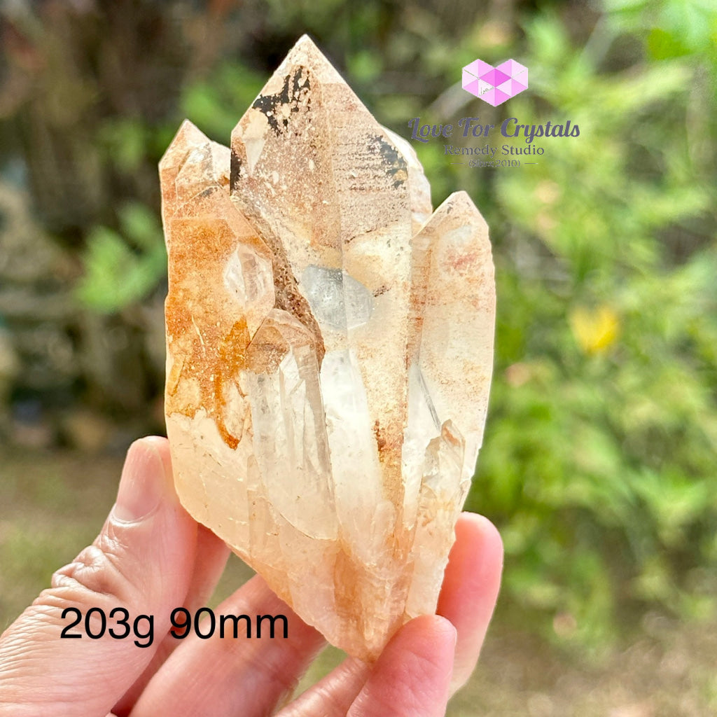 Pink Lemurian Abundance Quartz (Mineral Gallery) Brazil Crystals