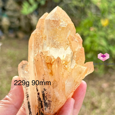 Pink Lemurian Abundance Quartz (Mineral Gallery) Brazil Crystals