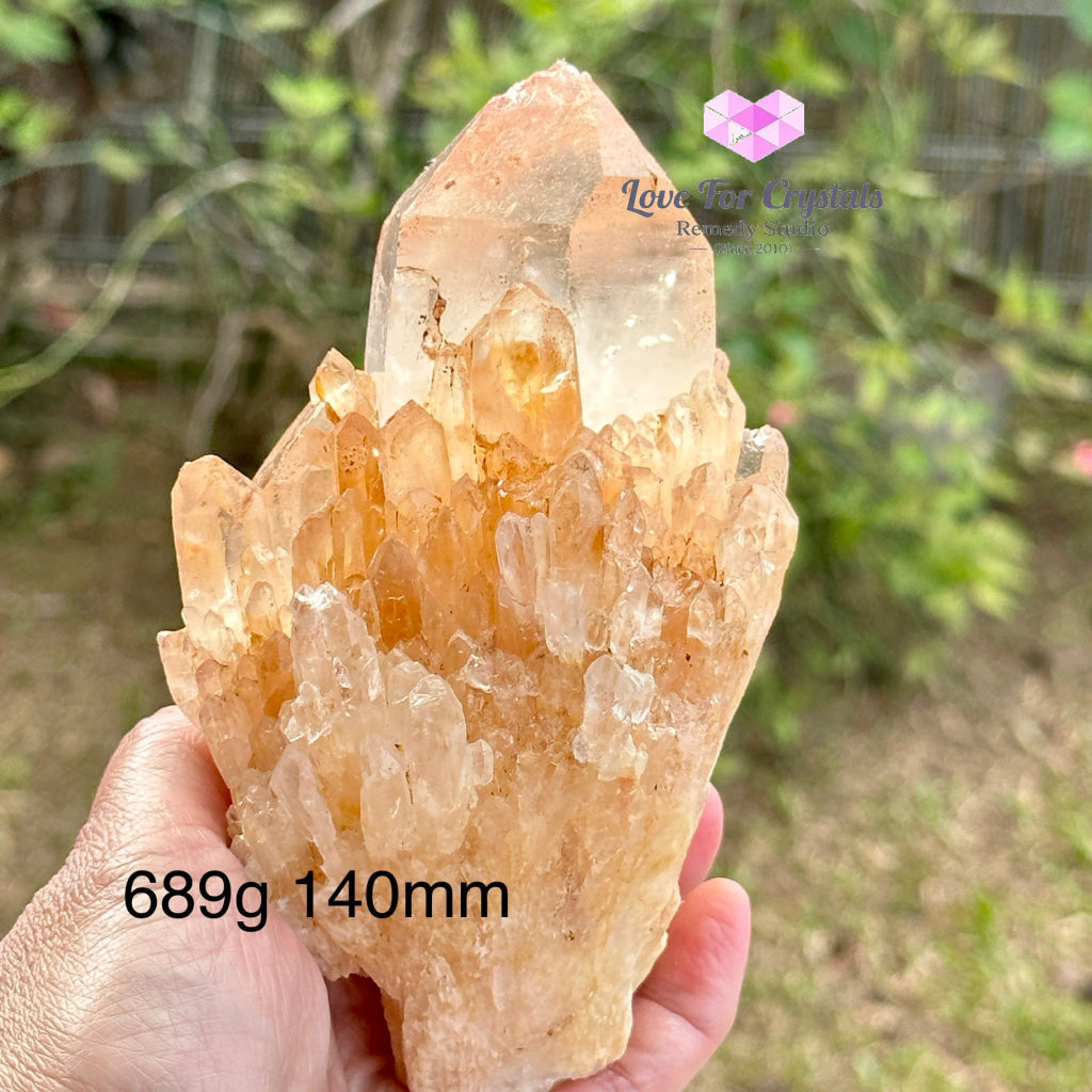 Pink Lemurian Abundance Quartz (Mineral Gallery) Brazil Crystals