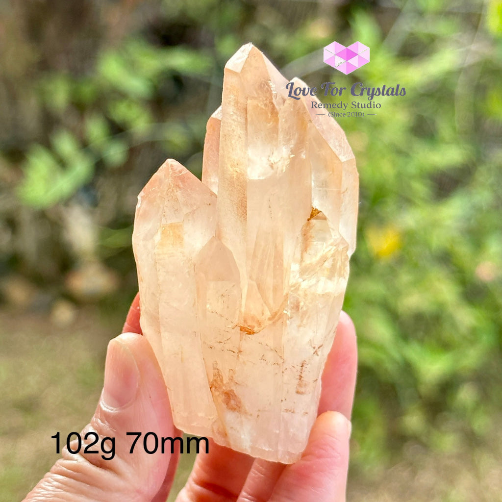 Pink Lemurian Abundance Quartz (Mineral Gallery) Brazil Crystals