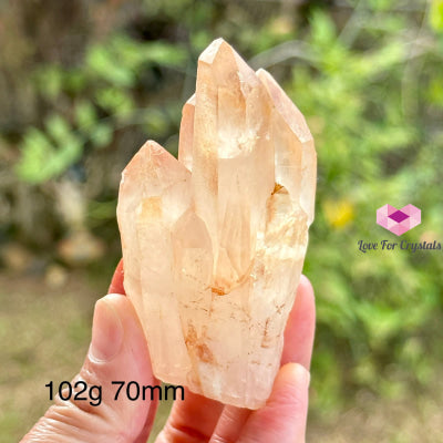 Pink Lemurian Abundance Quartz (Mineral Gallery) Brazil Crystals