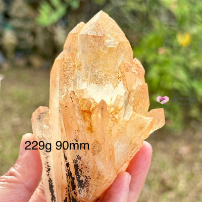 Pink Lemurian Abundance Quartz (Mineral Gallery) Brazil Crystals