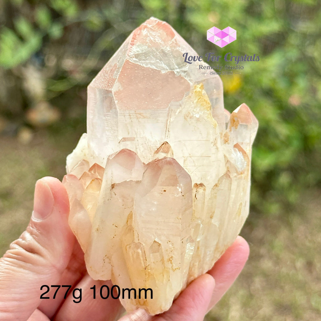 Pink Lemurian Abundance Quartz (Mineral Gallery) Brazil Crystals
