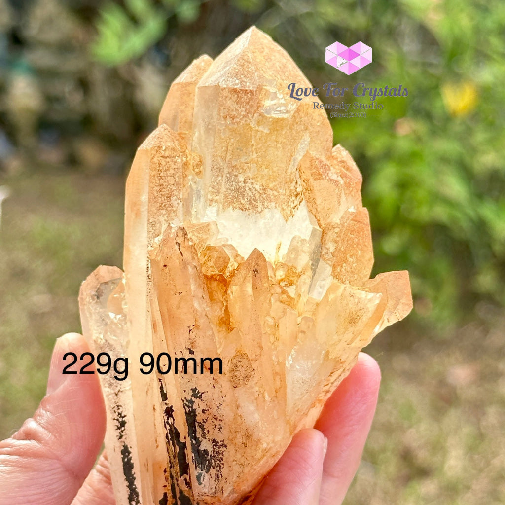 Pink Lemurian Abundance Quartz (Mineral Gallery) Brazil Crystals