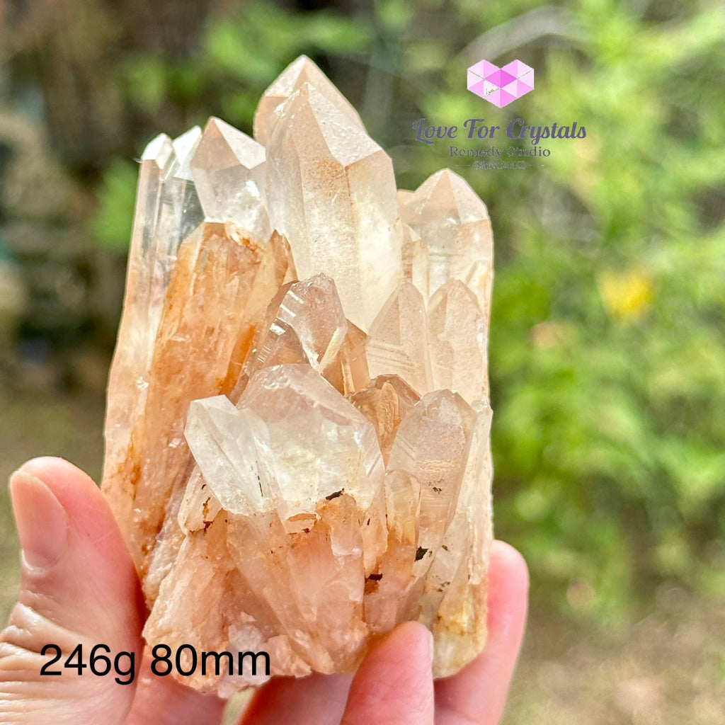 Pink Lemurian Abundance Quartz (Mineral Gallery) Brazil Crystals