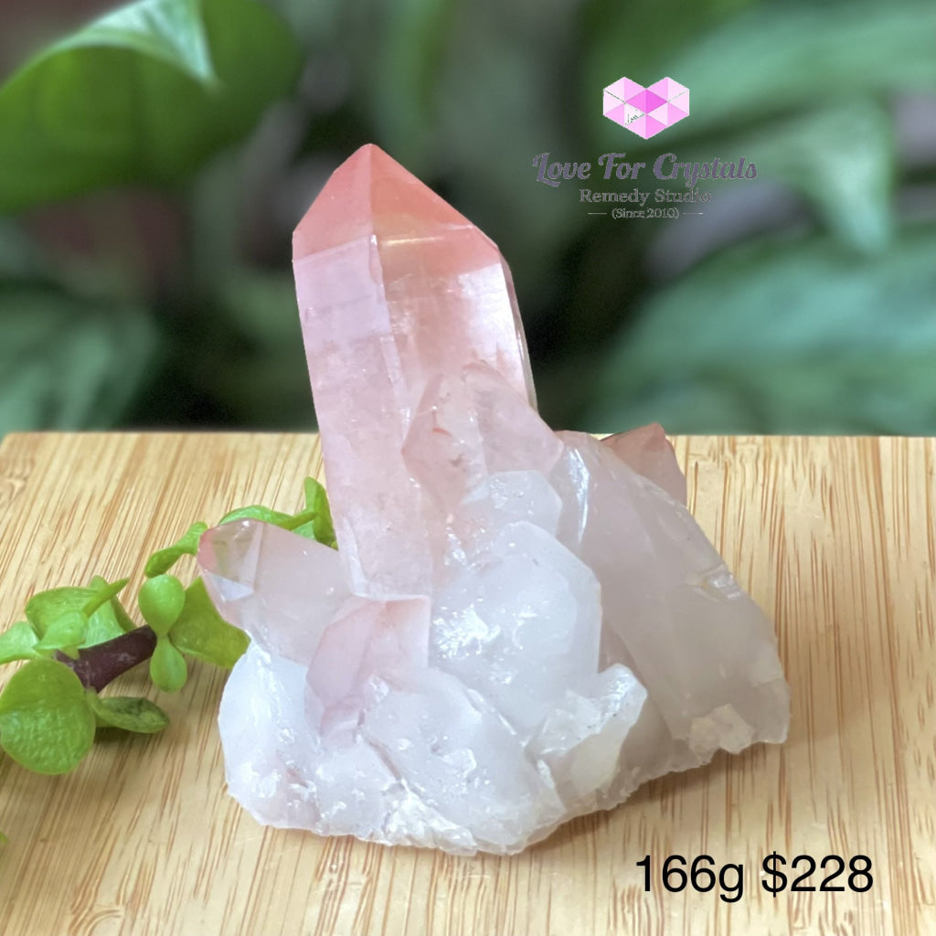Pink Scarlet Lemurian Seed Cluster (Brazil) 166G 60Mm Raw Stones
