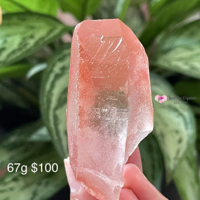 Pink Scarlet Lemurian Seed Point (Brazil) Aaa (Rare) Raw Stones